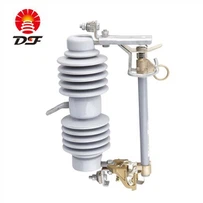 Изрез от порцеланов предпазител